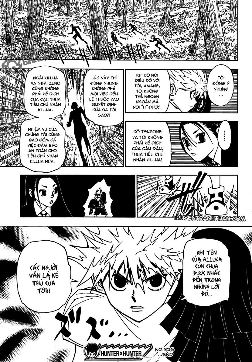 Hunter X Hunter Chapter 326 - 19