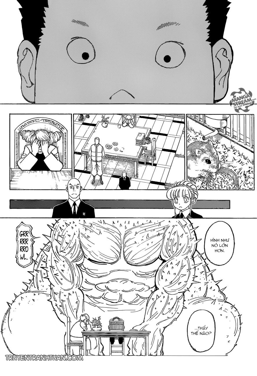 Hunter X Hunter Chapter 372 - 5