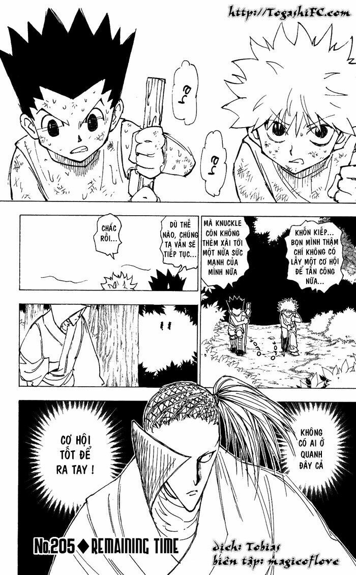 Hunter X Hunter Chapter 205 - 2