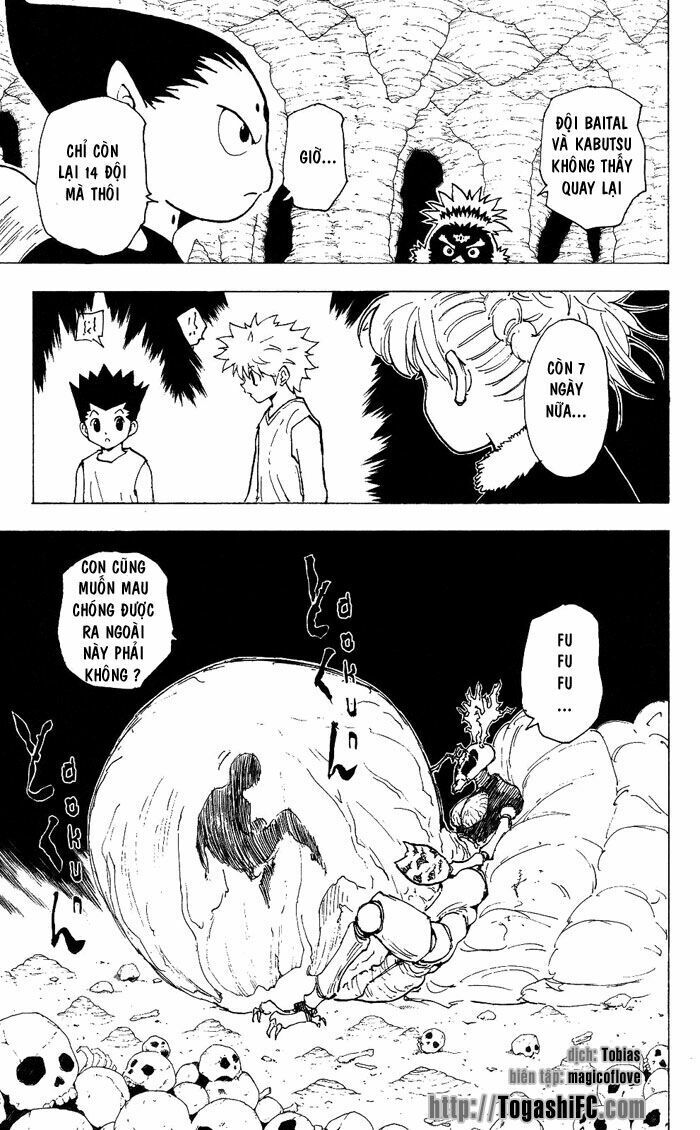 Hunter X Hunter Chapter 205 - 16