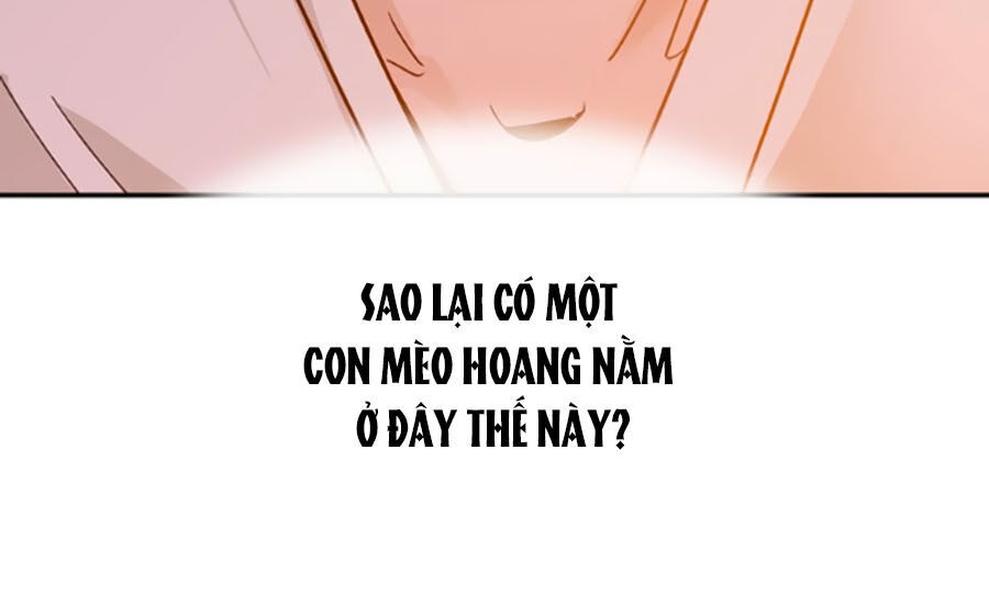 Hoàng Thượng! Hãy Sủng Ái Ta Đi! Chapter 5 - 4