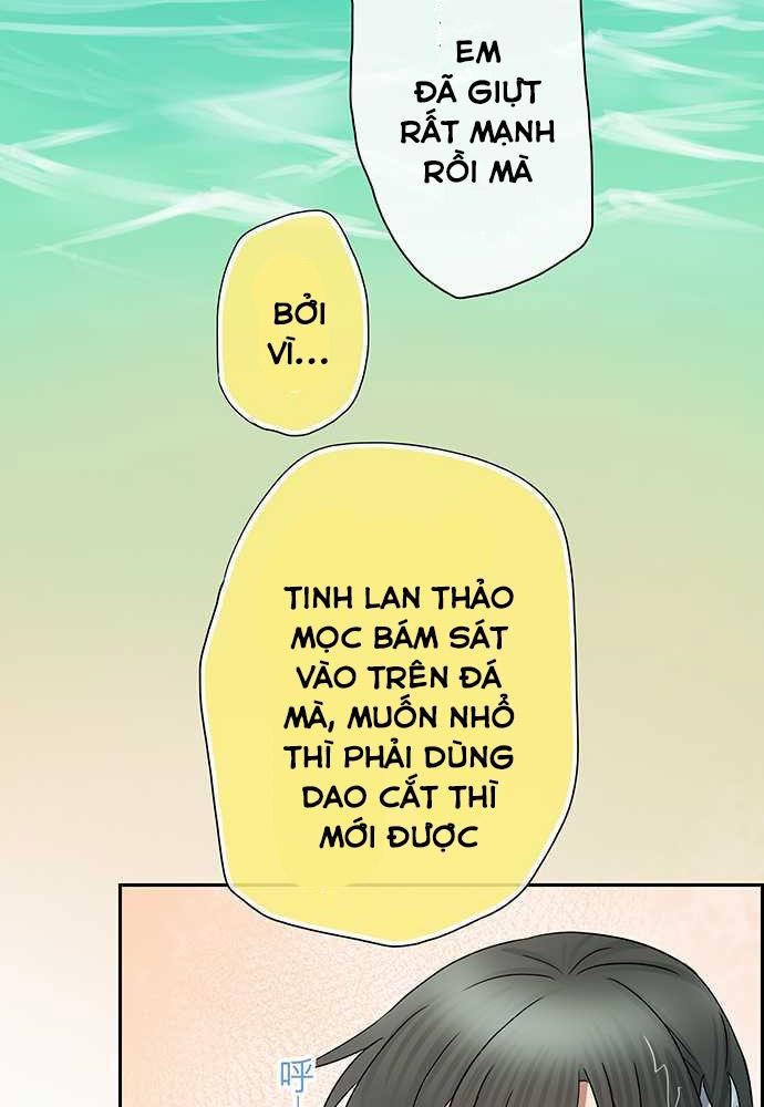 Nụ Hôn Nguyền Rủa Chapter 21 - 31