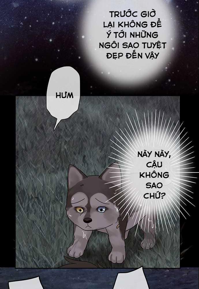 Nụ Hôn Nguyền Rủa Chapter 27 - 37