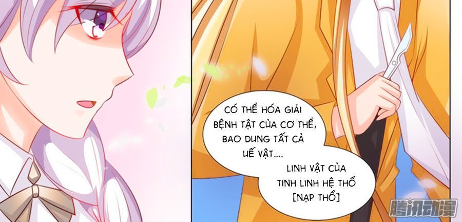 Chước Chước Lưu Ly Hạ Chapter 92 - 3