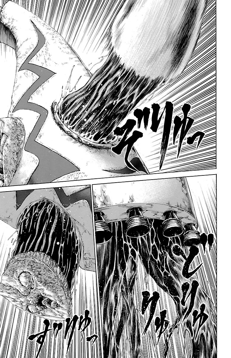 Hakaijuu Chapter 69 - 37