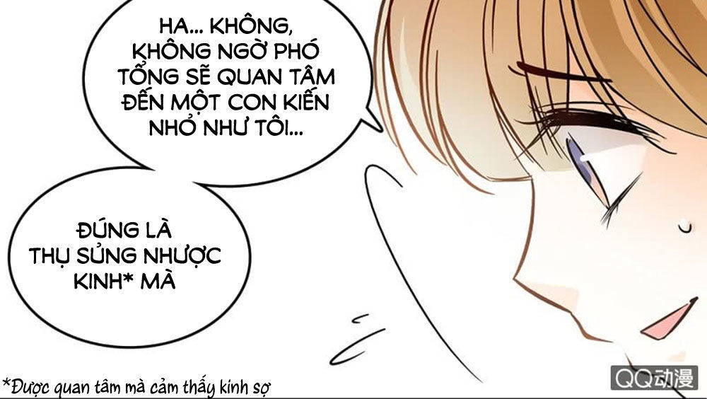 Tịch Nhan Hoa Nở Chỉ Vì Em Chapter 24 - 11