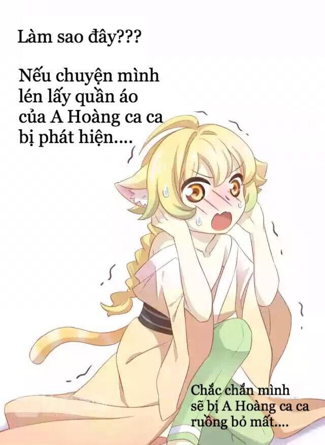 Dưới Móng Vuốt Mèo Chapter 11 - 16