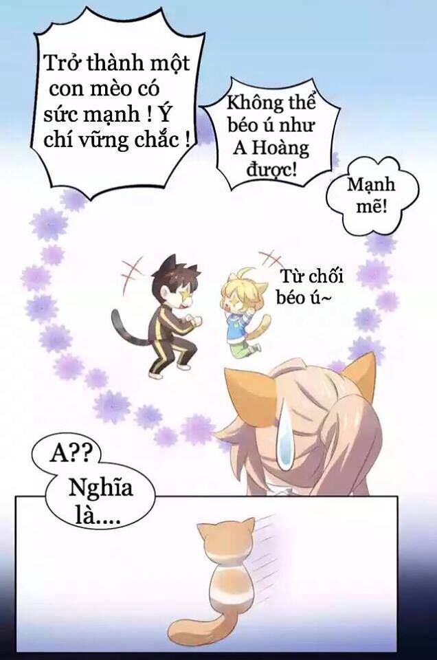 Dưới Móng Vuốt Mèo Chapter 11 - 46