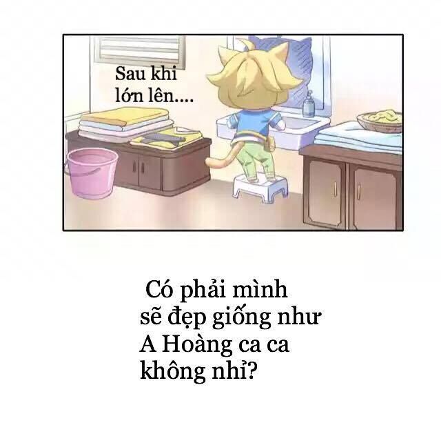 Dưới Móng Vuốt Mèo Chapter 11 - 8