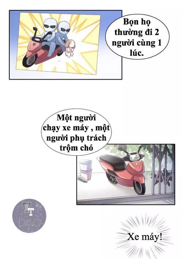 Dưới Móng Vuốt Mèo Chapter 14 - 33