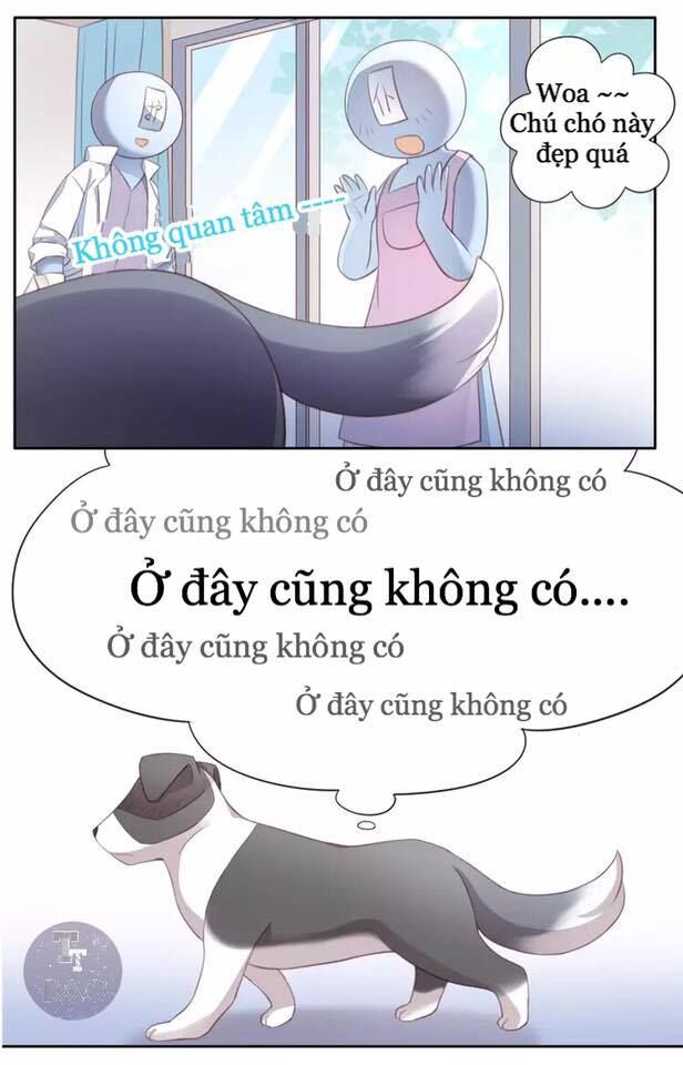 Dưới Móng Vuốt Mèo Chapter 17 - 61