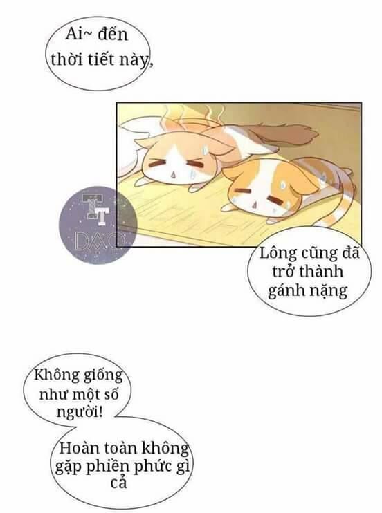 Dưới Móng Vuốt Mèo Chapter 3 - 4