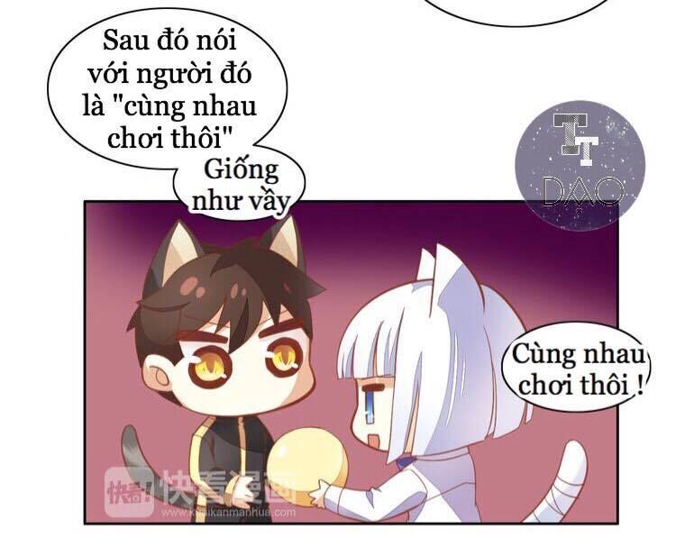 Dưới Móng Vuốt Mèo Chapter 4 - 16