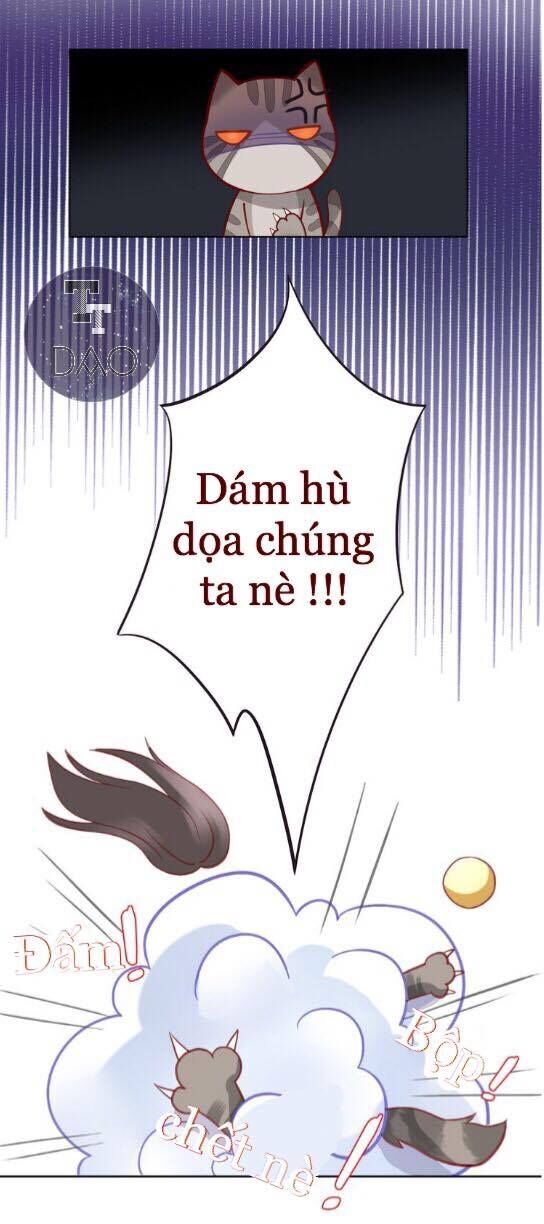 Dưới Móng Vuốt Mèo Chapter 4 - 30