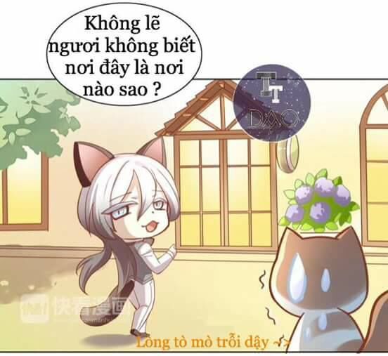 Dưới Móng Vuốt Mèo Chapter 8 - 15