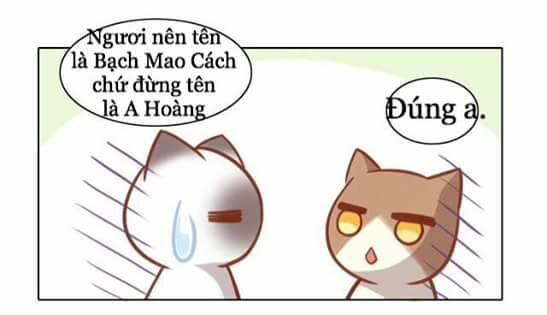 Dưới Móng Vuốt Mèo Chapter 8 - 25