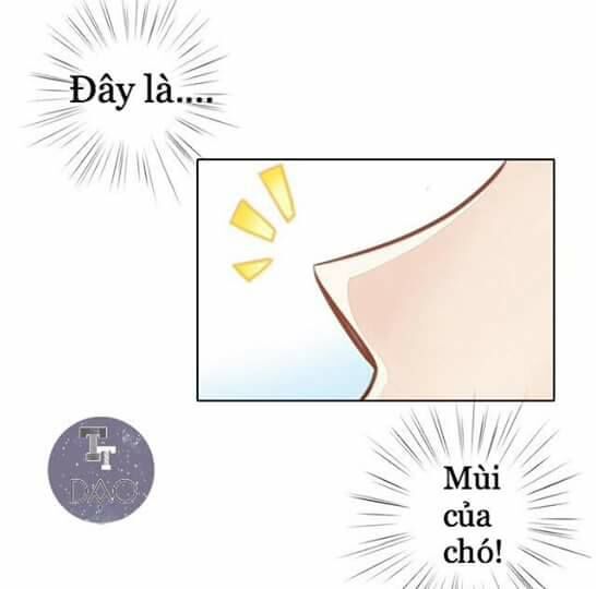 Dưới Móng Vuốt Mèo Chapter 8 - 9