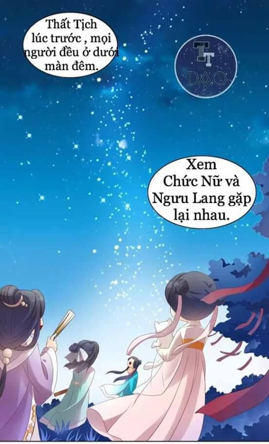 Dưới Móng Vuốt Mèo Chapter 9 - 14