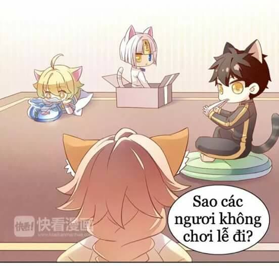 Dưới Móng Vuốt Mèo Chapter 9 - 3