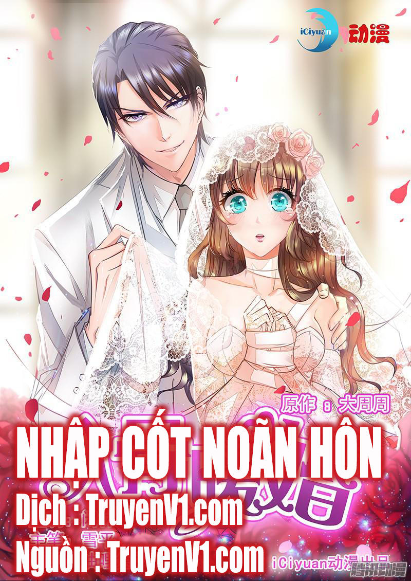 Nhập Cốt Noãn Hôn Chapter 1 - 1