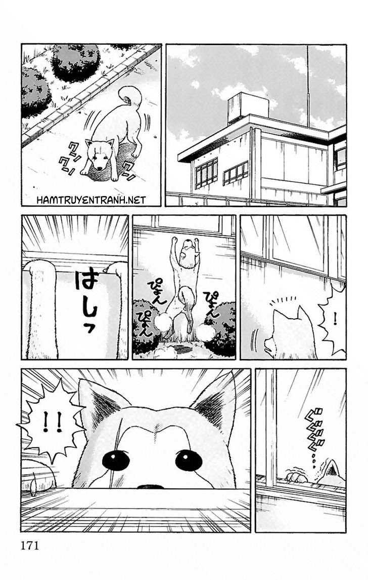 Nanba Mg5 Chapter 6 - 20