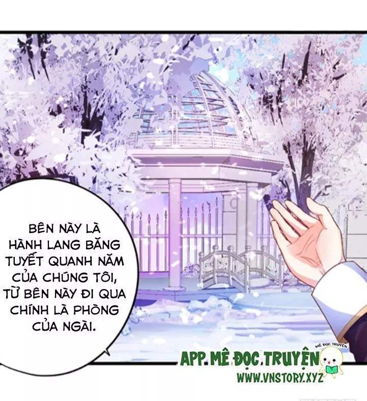 Huyết Tộc Đáng Yêu Chapter 105 - 43