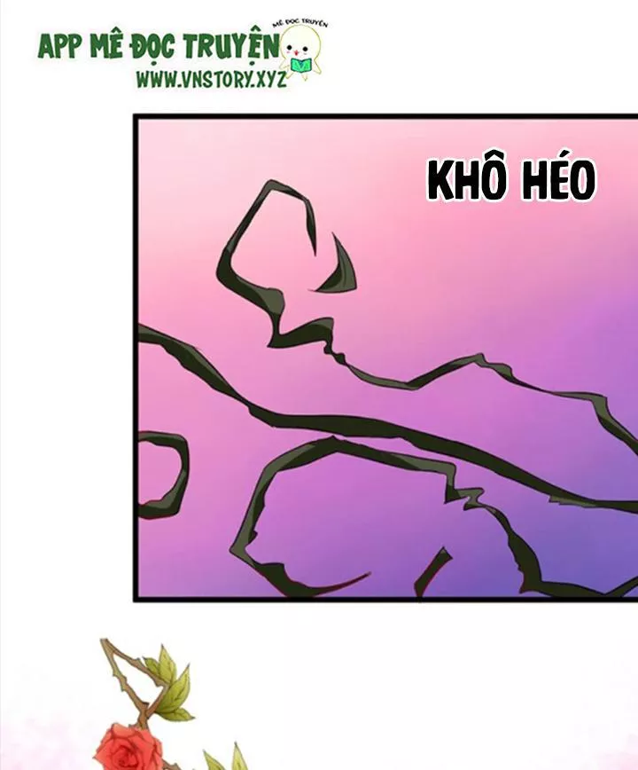 Huyết Tộc Đáng Yêu Chapter 71 - 33