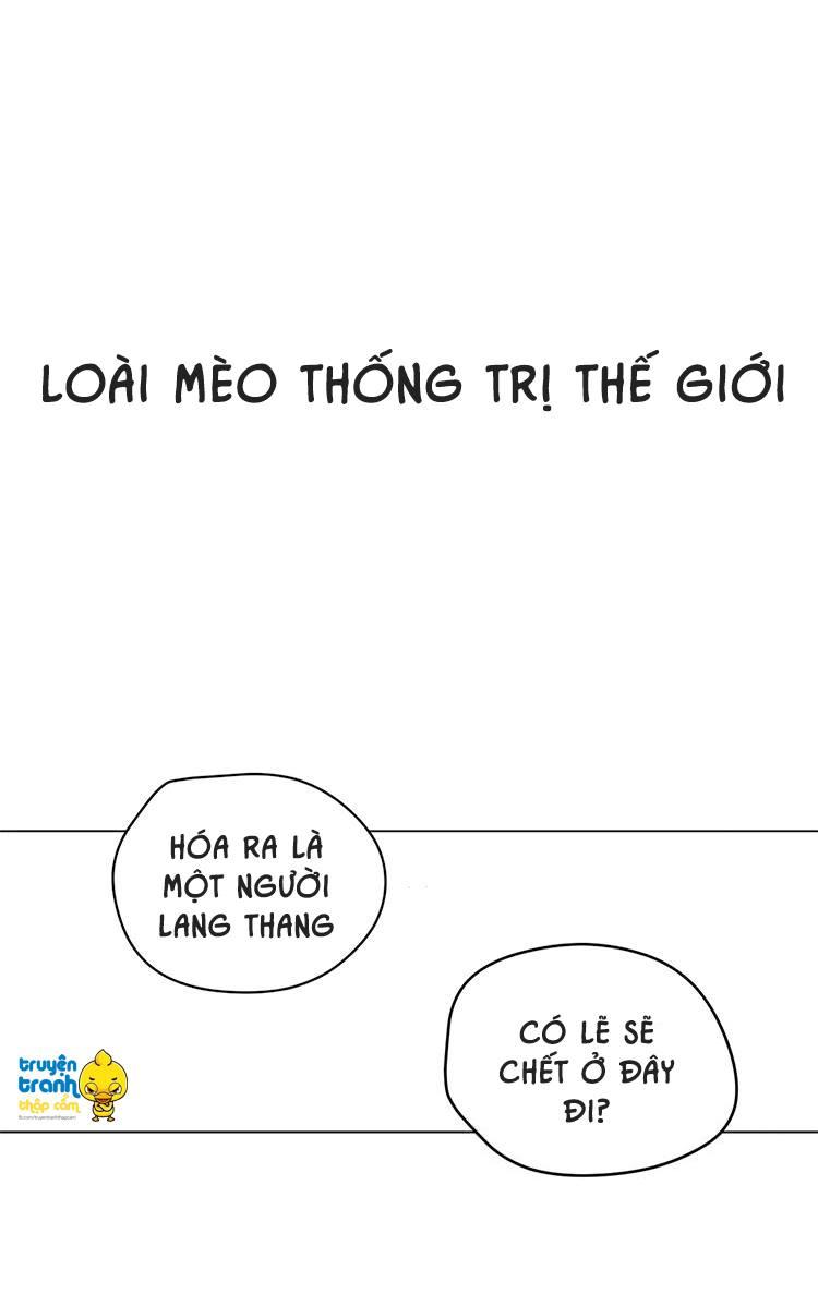 Cứu Mạng! Loài Mèo Thống Trị Thế Giới Rồi! Chapter 1 - 3