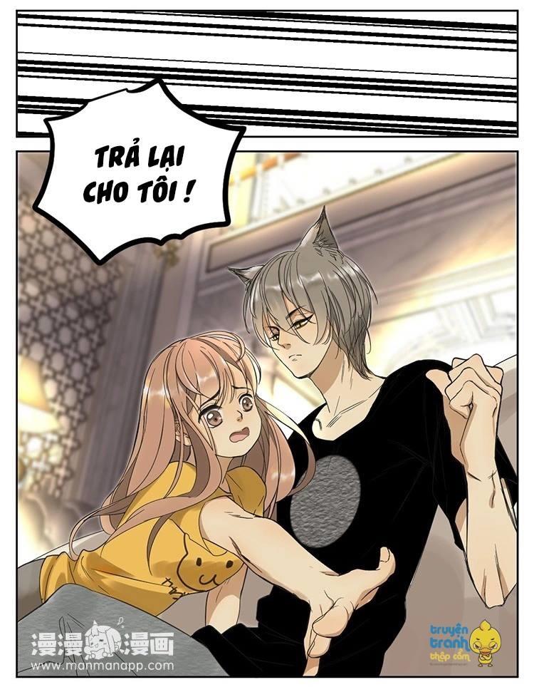 Cứu Mạng! Loài Mèo Thống Trị Thế Giới Rồi! Chapter 11 - 6