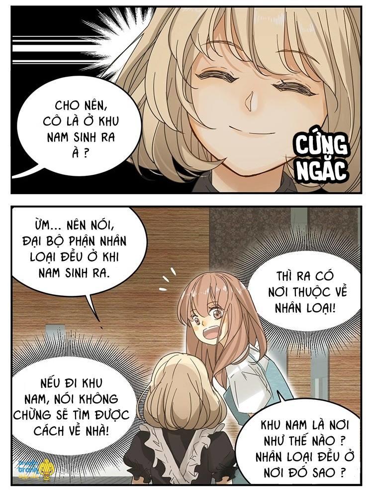 Cứu Mạng! Loài Mèo Thống Trị Thế Giới Rồi! Chapter 12 - 3