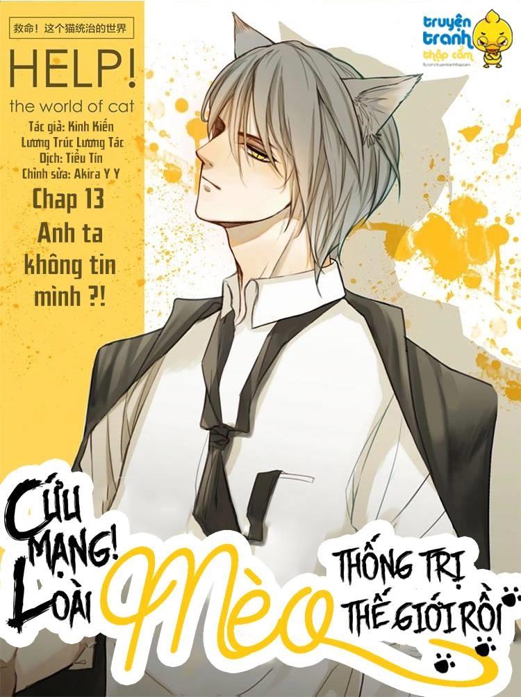 Cứu Mạng! Loài Mèo Thống Trị Thế Giới Rồi! Chapter 13 - 1