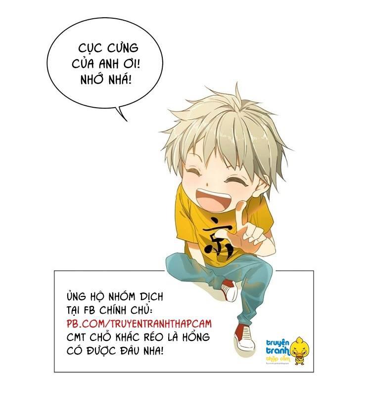 Cứu Mạng! Loài Mèo Thống Trị Thế Giới Rồi! Chapter 13 - 28