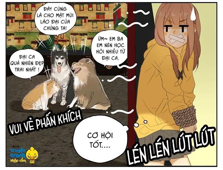 Cứu Mạng! Loài Mèo Thống Trị Thế Giới Rồi! Chapter 18 - 21