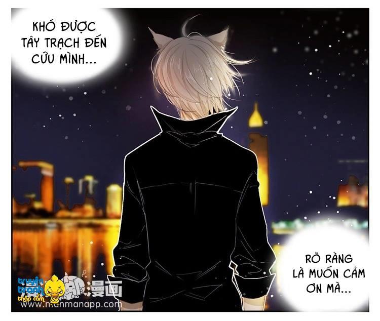 Cứu Mạng! Loài Mèo Thống Trị Thế Giới Rồi! Chapter 21 - 19