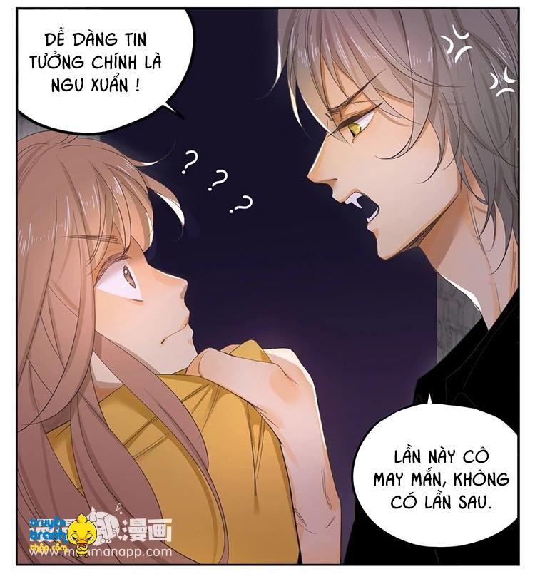 Cứu Mạng! Loài Mèo Thống Trị Thế Giới Rồi! Chapter 21 - 8