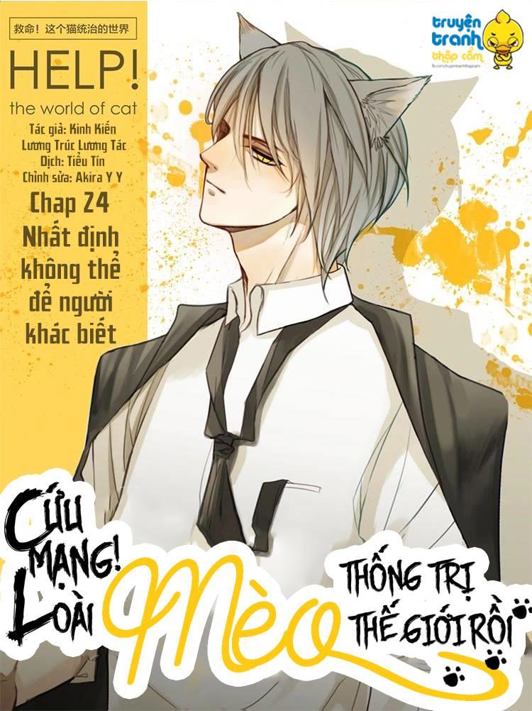 Cứu Mạng! Loài Mèo Thống Trị Thế Giới Rồi! Chapter 24 - 1