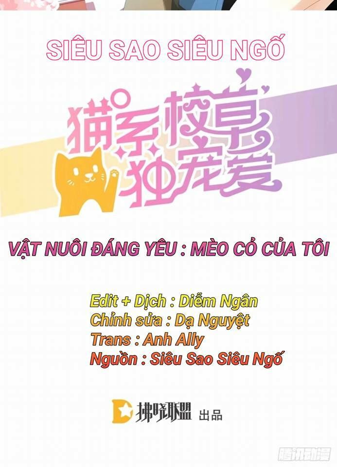 Vật Nuôi Đáng Yêu: Mèo Cỏ Của Tôi Chapter 1.5 - 2