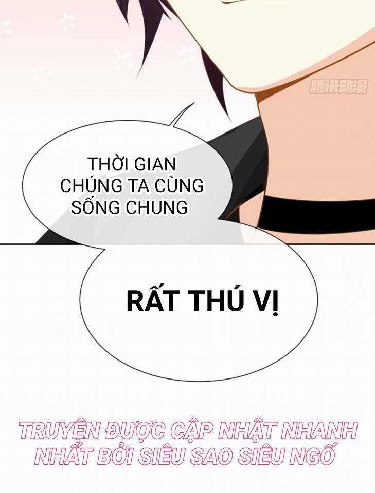 Vật Nuôi Đáng Yêu: Mèo Cỏ Của Tôi Chapter 1.5 - 78