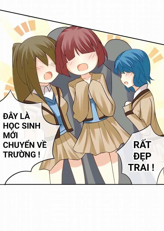 Vật Nuôi Đáng Yêu: Mèo Cỏ Của Tôi Chapter 1 - 38