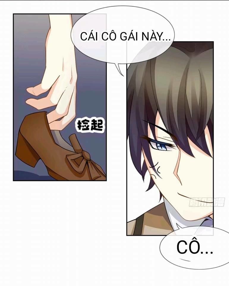 Vật Nuôi Đáng Yêu: Mèo Cỏ Của Tôi Chapter 1 - 59