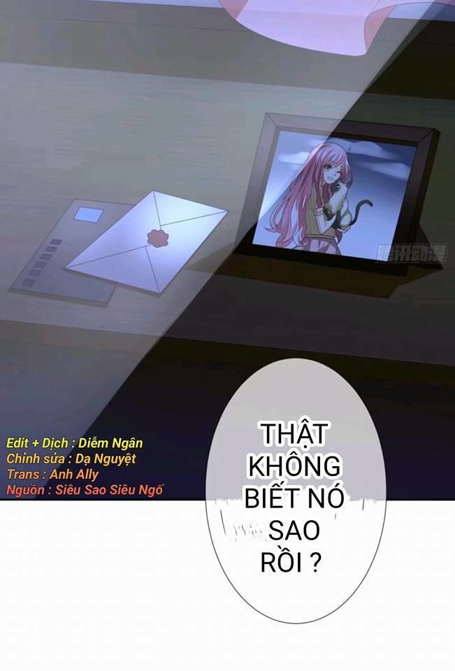 Vật Nuôi Đáng Yêu: Mèo Cỏ Của Tôi Chapter 1 - 9