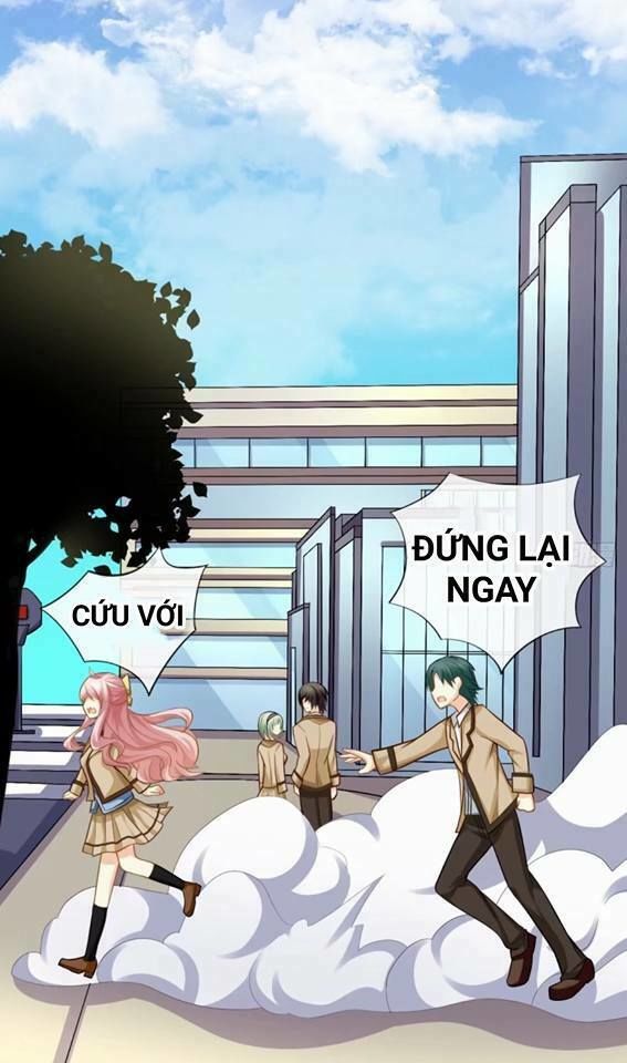 Vật Nuôi Đáng Yêu: Mèo Cỏ Của Tôi Chapter 2 - 53