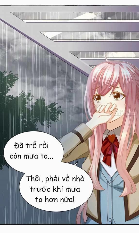 Vật Nuôi Đáng Yêu: Mèo Cỏ Của Tôi Chapter 3 - 17