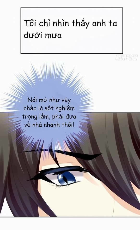 Vật Nuôi Đáng Yêu: Mèo Cỏ Của Tôi Chapter 3 - 54