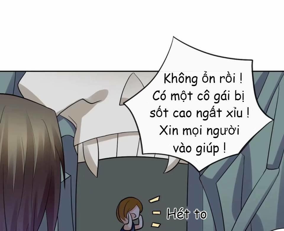 Vật Nuôi Đáng Yêu: Mèo Cỏ Của Tôi Chapter 4 - 65