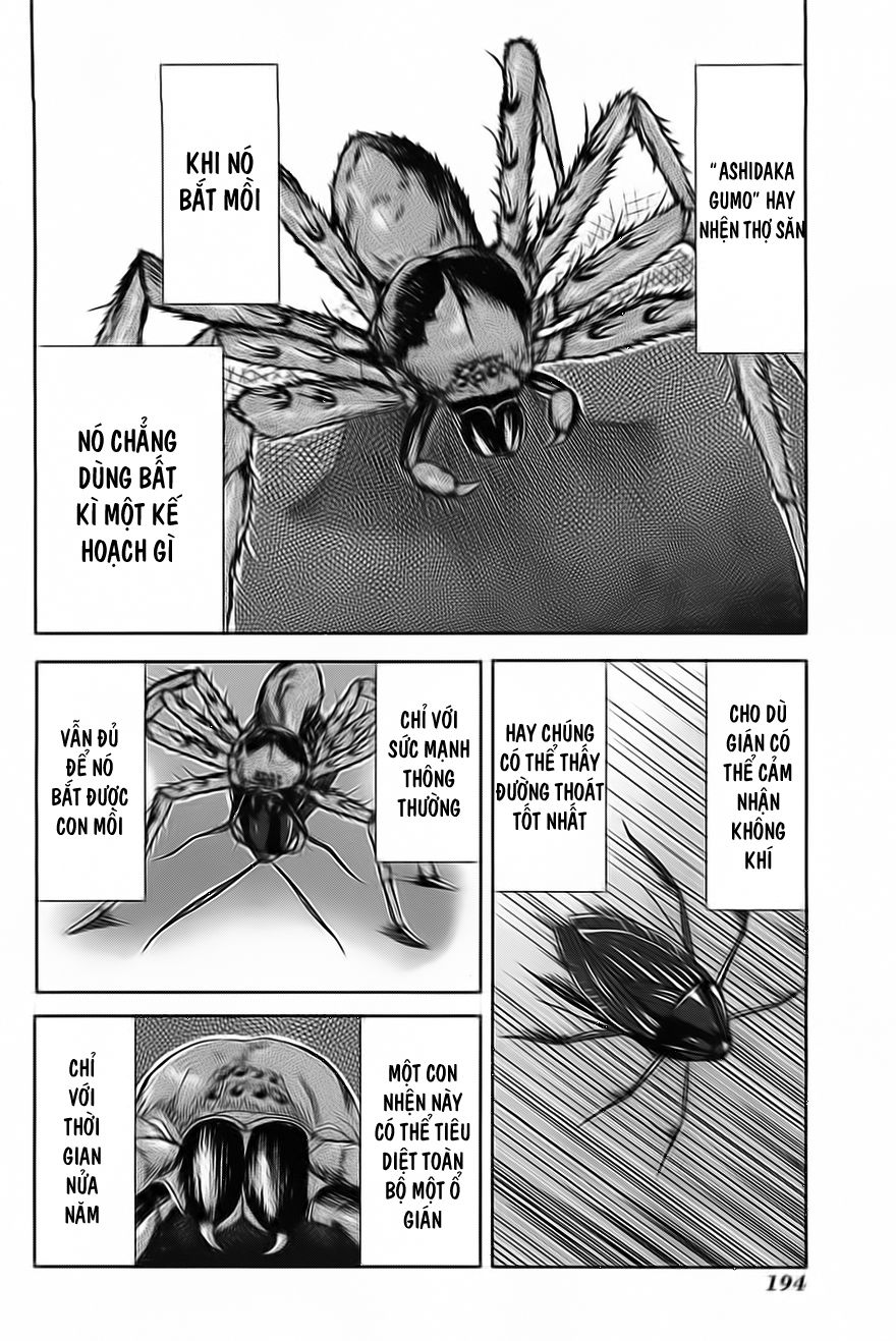 Arachnid Chapter 10 - 22