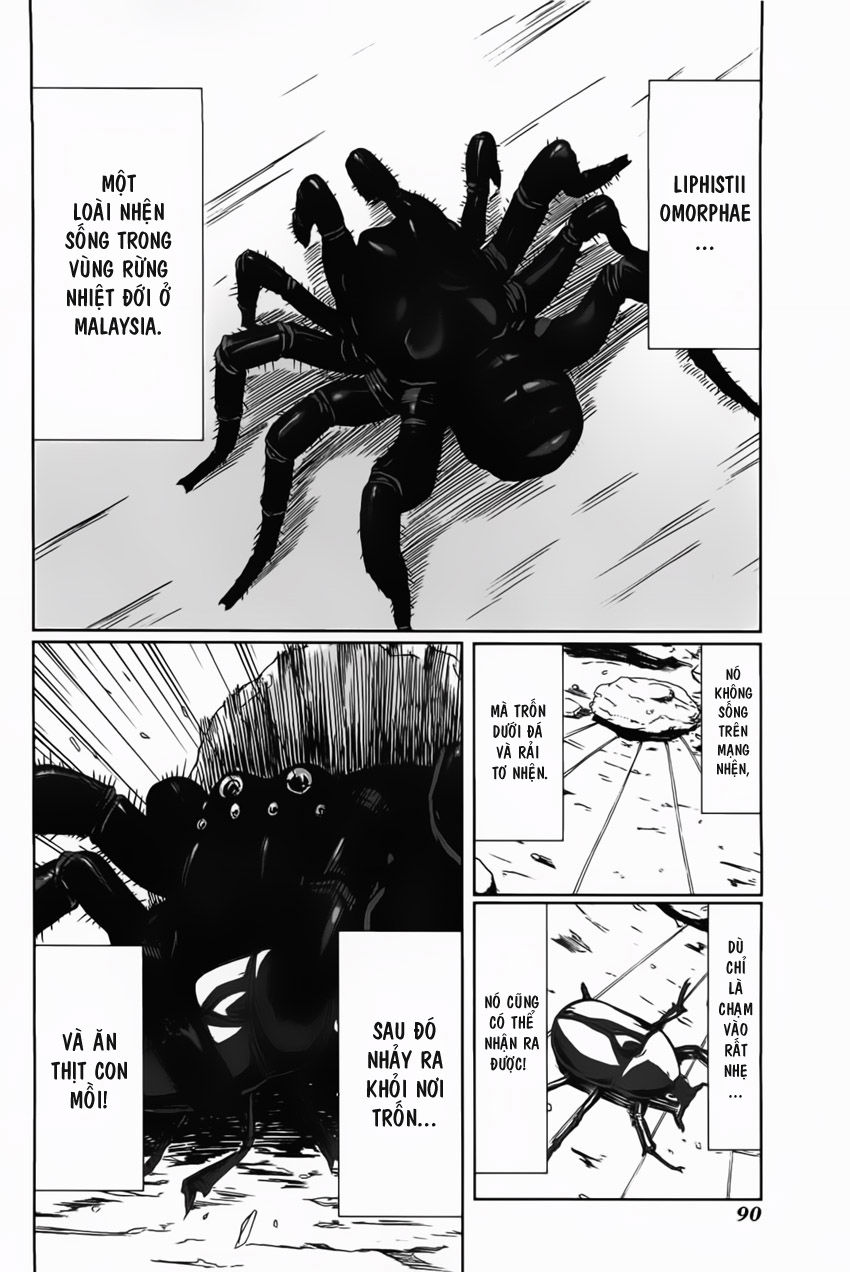 Arachnid Chapter 3 - 2