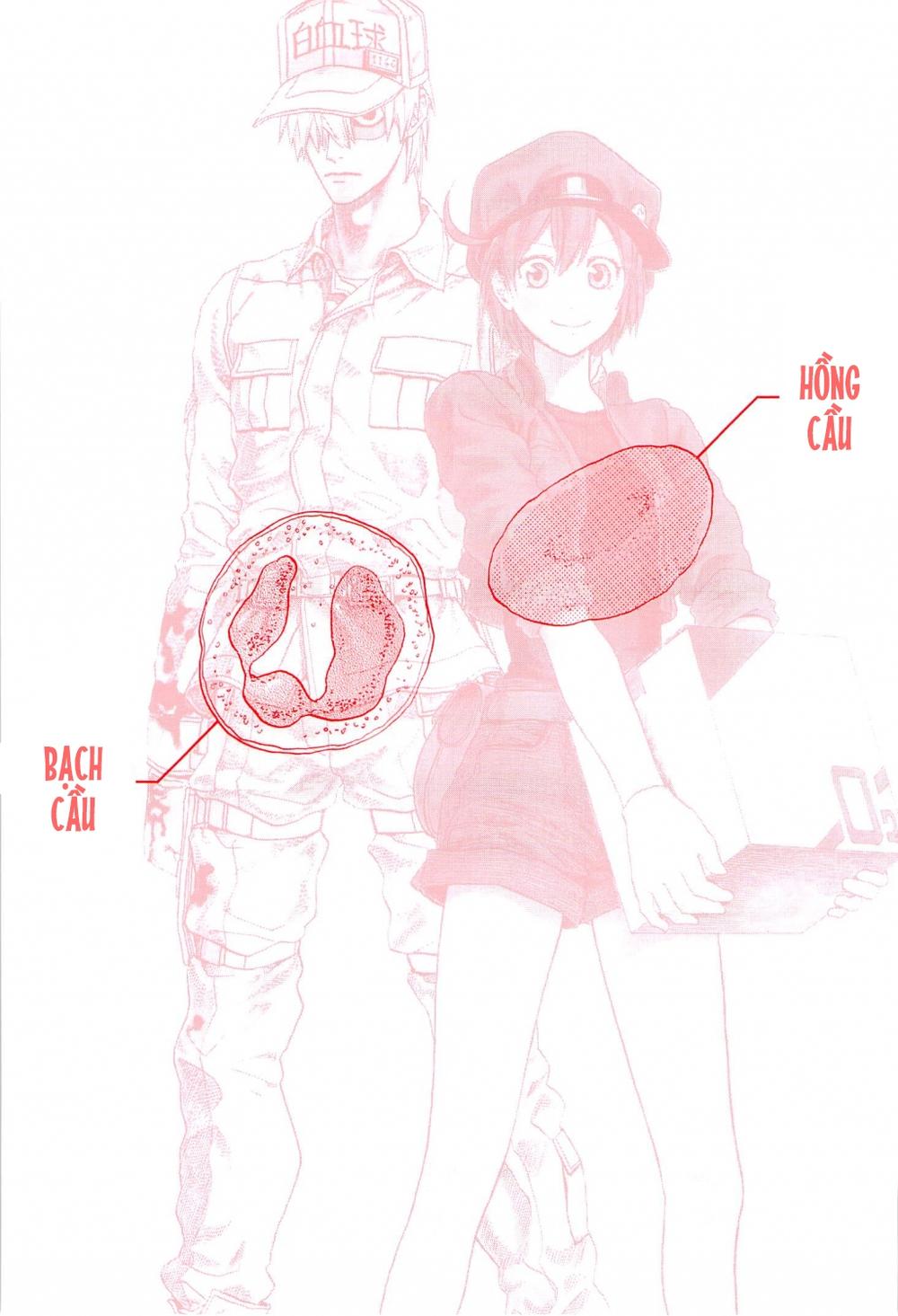 Hataraku Saibou! Chapter 1 - 5