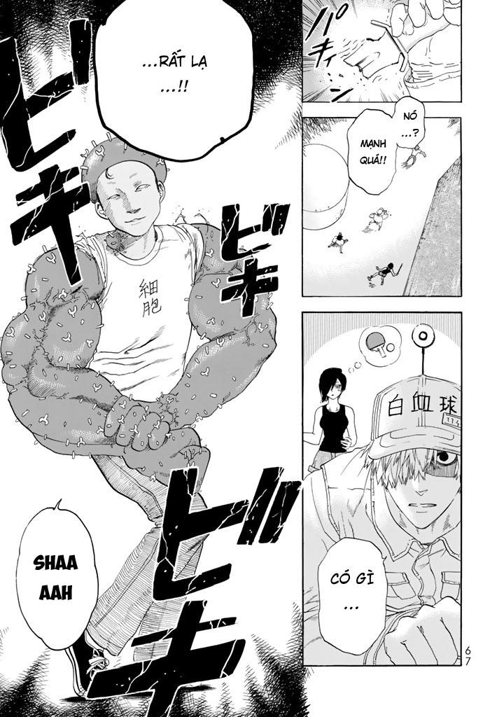 Hataraku Saibou! Chapter 21 - 23