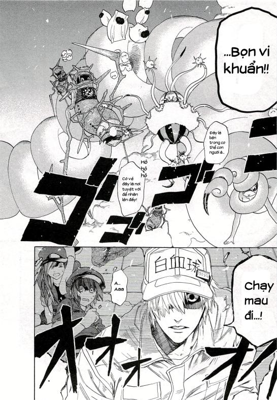 Hataraku Saibou! Chapter 4 - 12